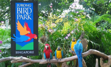 Fascinating Singapore