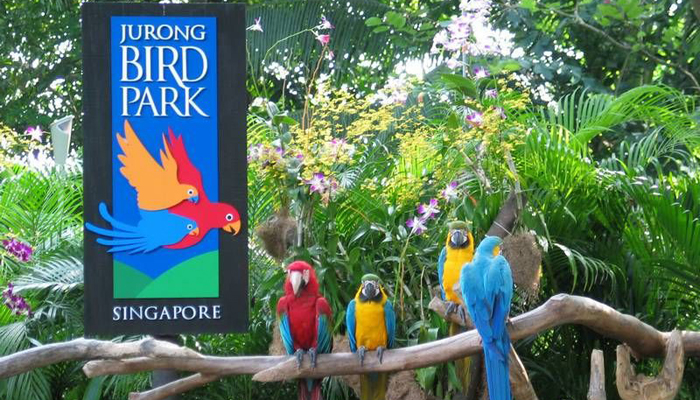 Fascinating Singapore