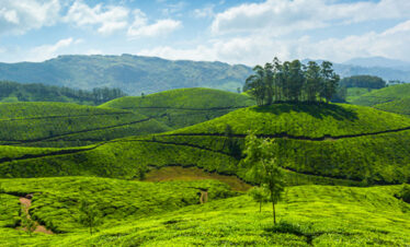 Heart of Kerala