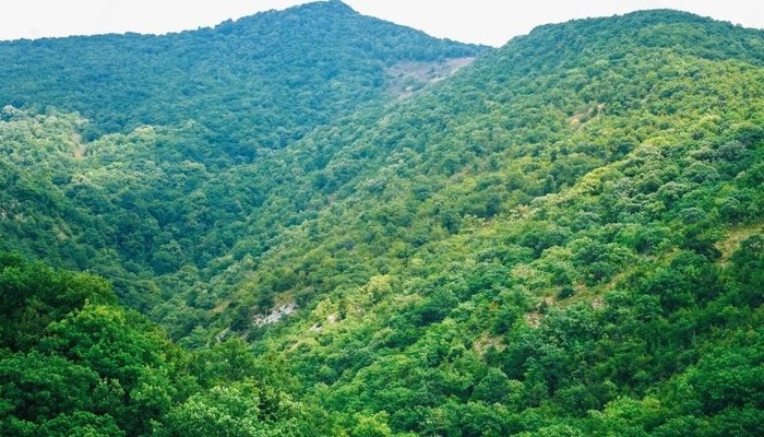 Jewels of North Kerala